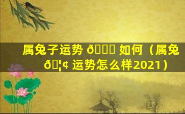 属兔子运势 🐘 如何（属兔 🦢 运势怎么样2021）